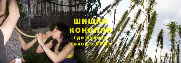 МДМА Богородицк