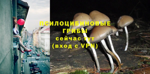 МДМА Богородицк