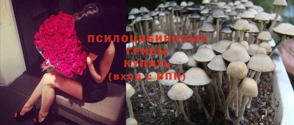МДМА Богородск