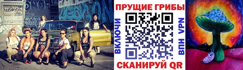 Псилоцибиновые грибы MAGIC MUSHROOMS  цена наркотик  Бирюч 